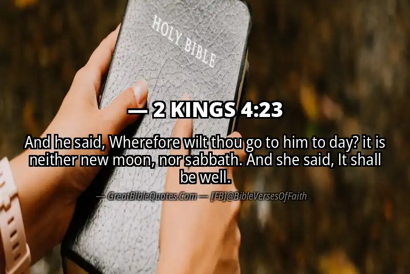Bible verse: 2 KINGS 4:23 Image