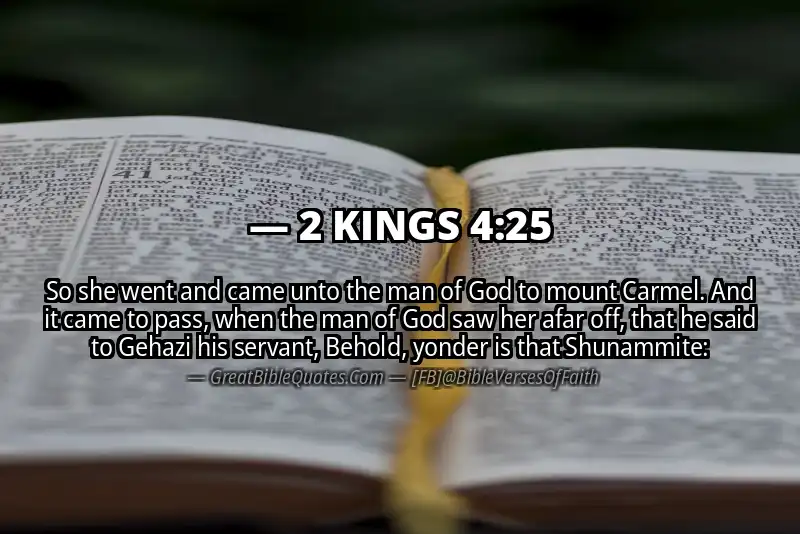 Bible verse: 2 KINGS 4:25 Image