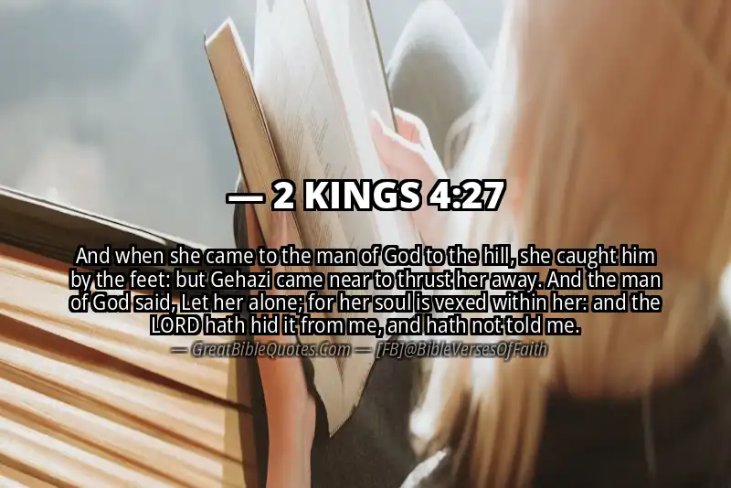 Bible verse: 2 KINGS 4:27 Image