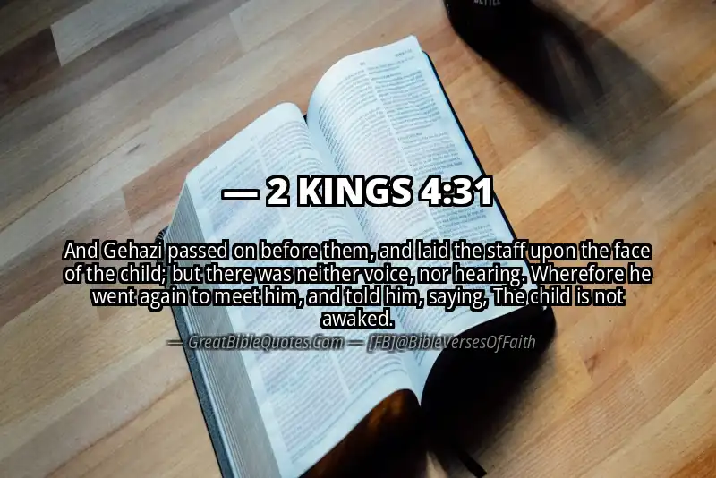 Bible verse: 2 KINGS 4:31 Image