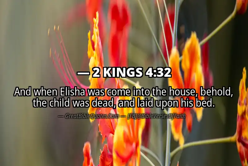 Bible verse: 2 KINGS 4:32 Image