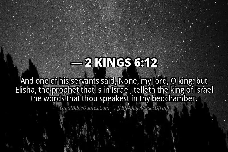 2 KINGS 6:12 Verse