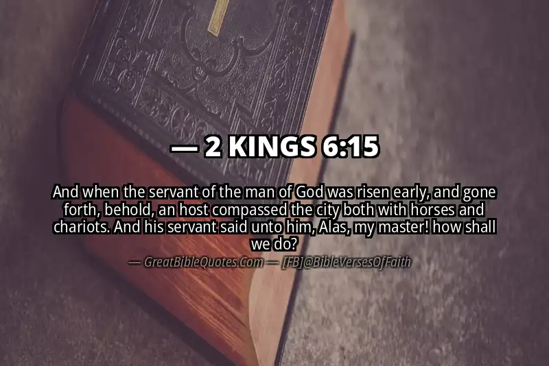 2 KINGS 6:15 Verse