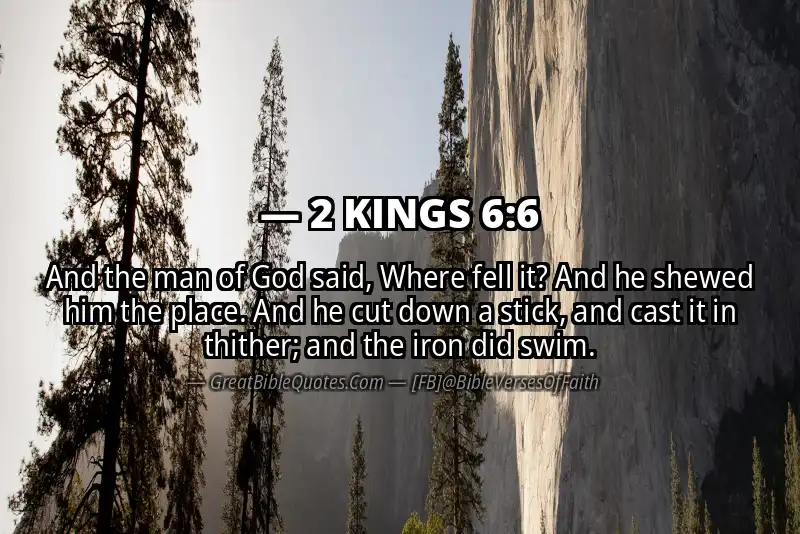 2 KINGS 6:6 Verse
