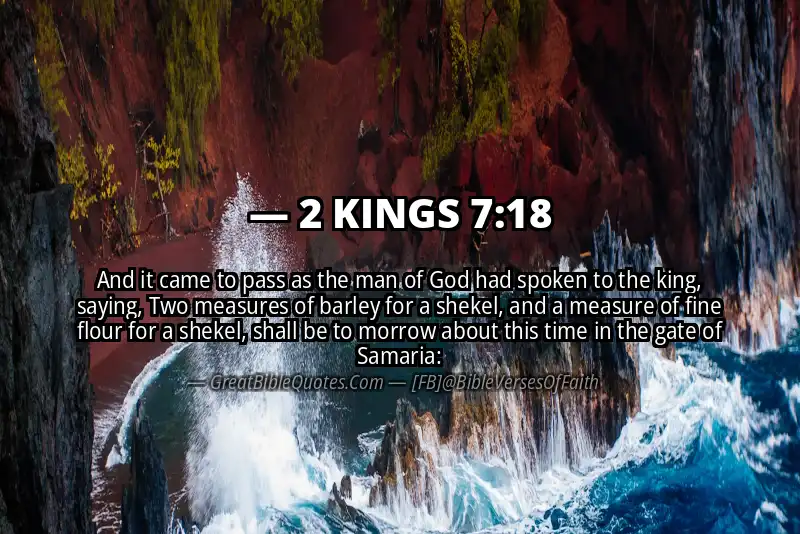 Bible verse: 2 KINGS 7:18 Image