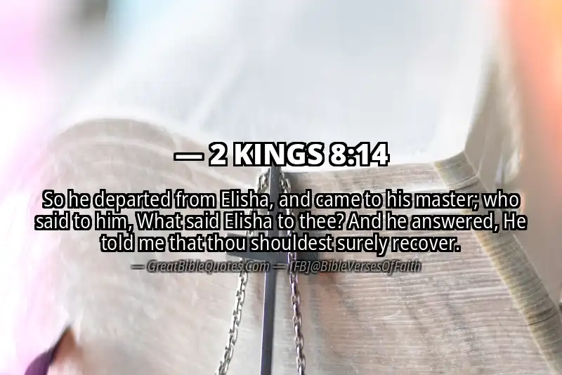 2 KINGS 8:14 Verse