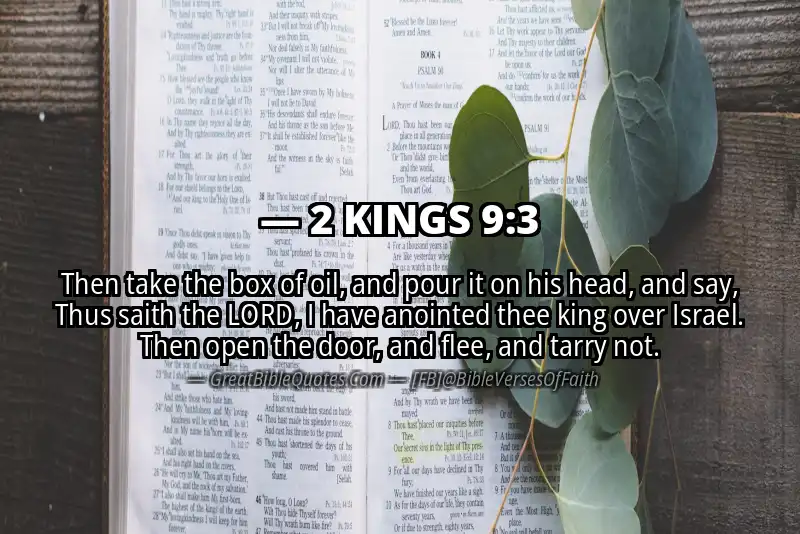 Bible verse: 2 KINGS 9:3 Image
