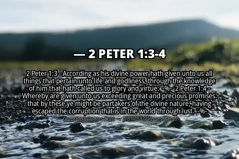 Image for 2 PETER 1:3-4 Bible verse