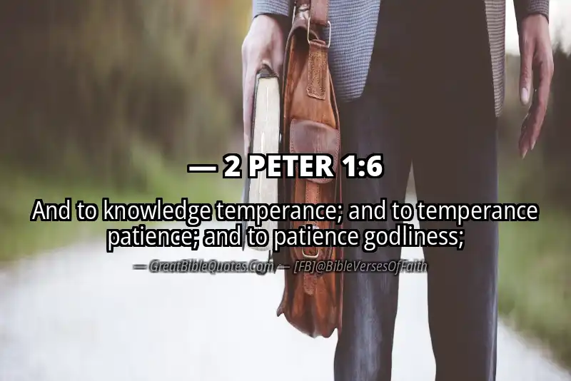 Bible verse: 2 PETER 1:6 Image