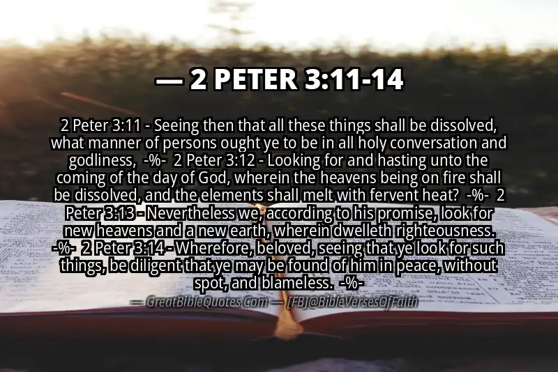 Image for 2 PETER 3:11-14 Bible verse