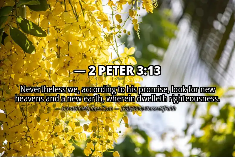 2 PETER 3:13 Verse
