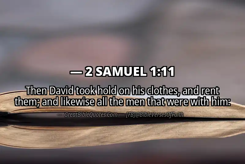 Bible verse: 2 SAMUEL 1:11 Image