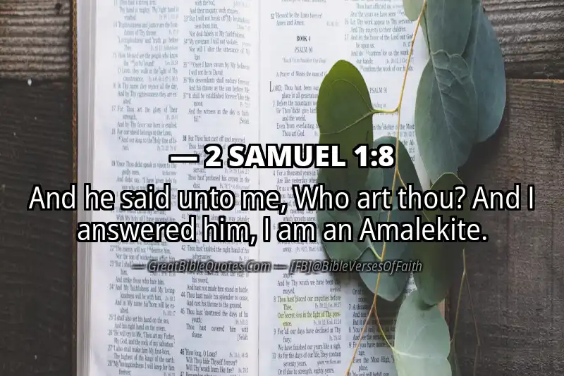 Bible verse: 2 SAMUEL 1:8 Image