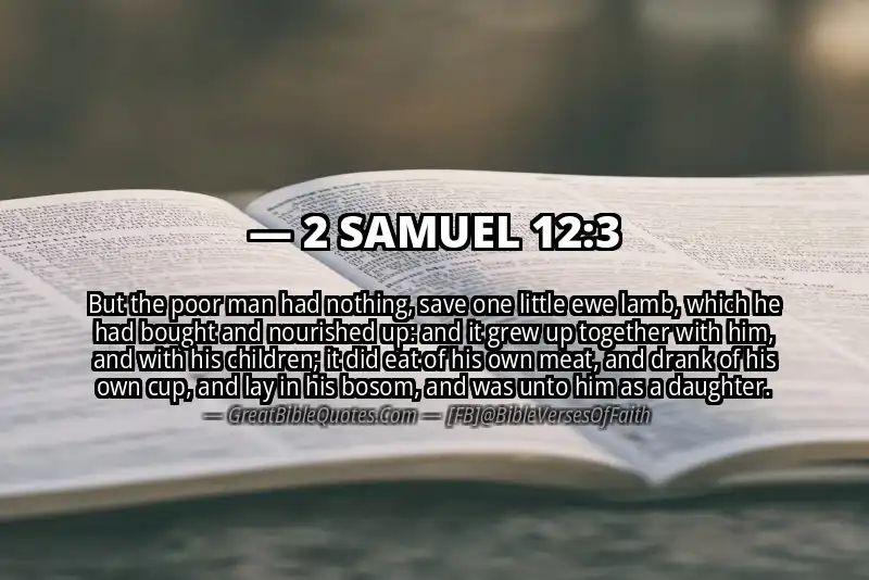 2 SAMUEL 12:3 Verse