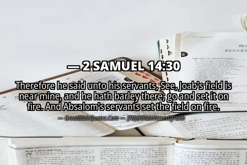 2 SAMUEL 14:30 Verse