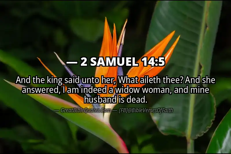 2 SAMUEL 14:5 Verse