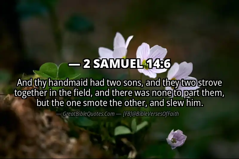 2 SAMUEL 14:6 Verse