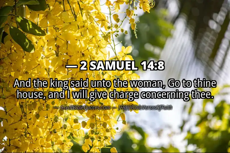 2 SAMUEL 14:8 Verse