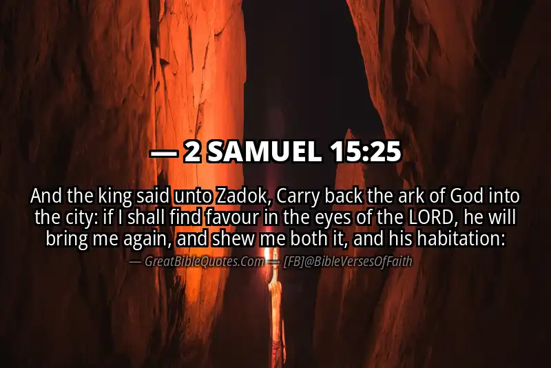 2 SAMUEL 15:25 Verse