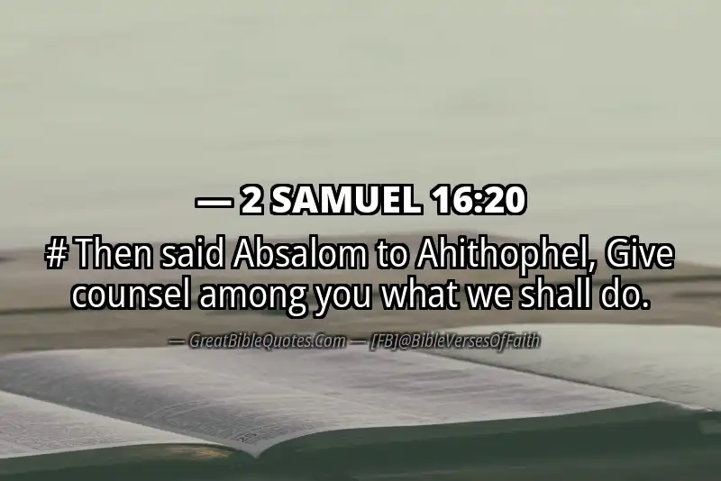 2 SAMUEL 16:20 Verse