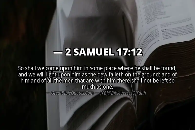 2 SAMUEL 17:12 Verse