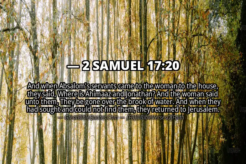 2 SAMUEL 17:20 Verse