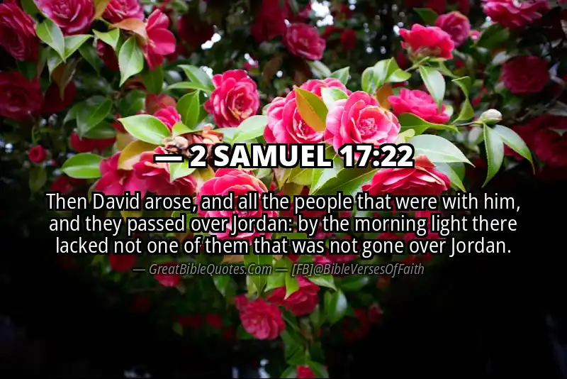2 SAMUEL 17:22 Verse