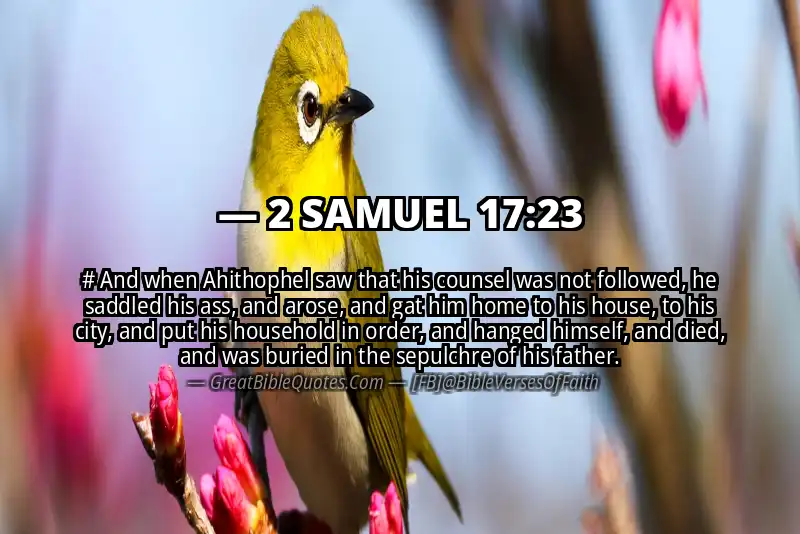 2 SAMUEL 17:23 Verse
