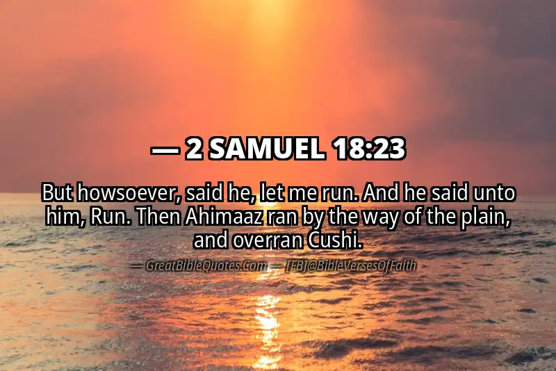 2 SAMUEL 18:23 Verse