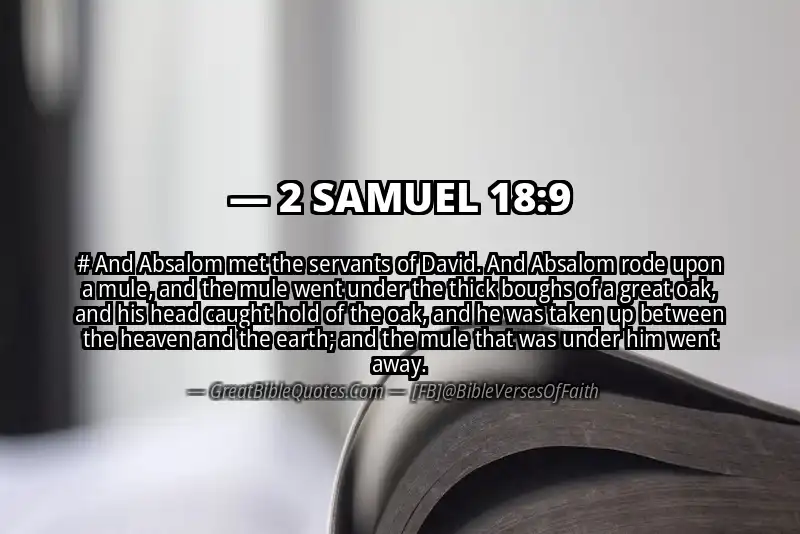 2 SAMUEL 18:9 Verse Image