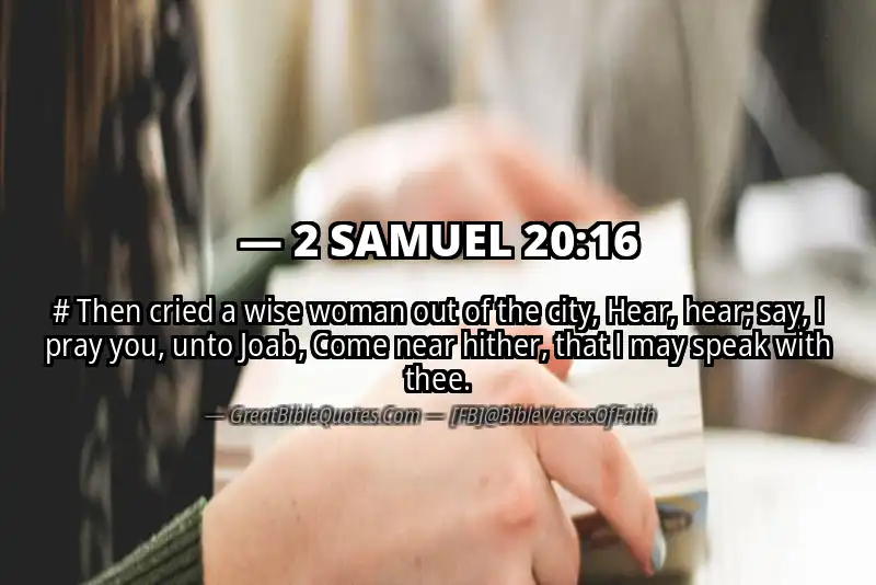 2 SAMUEL 20:16 Verse