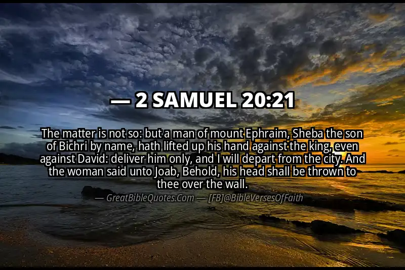 2 SAMUEL 20:21 Verse
