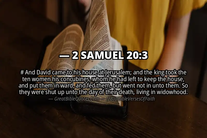 2 SAMUEL 20:3 Verse