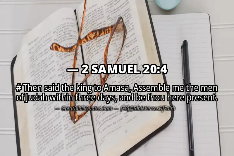 2 SAMUEL 20:4 Verse Image