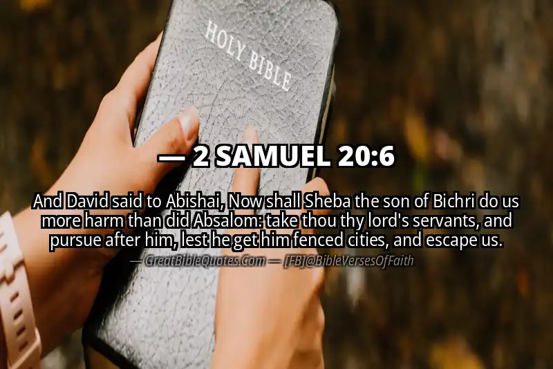 2 SAMUEL 20:6 Verse Image