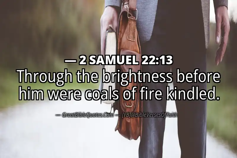 2 SAMUEL 22:13 Verse Image