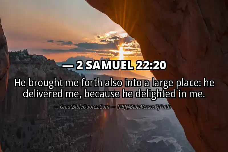 2 SAMUEL 22:20 Verse