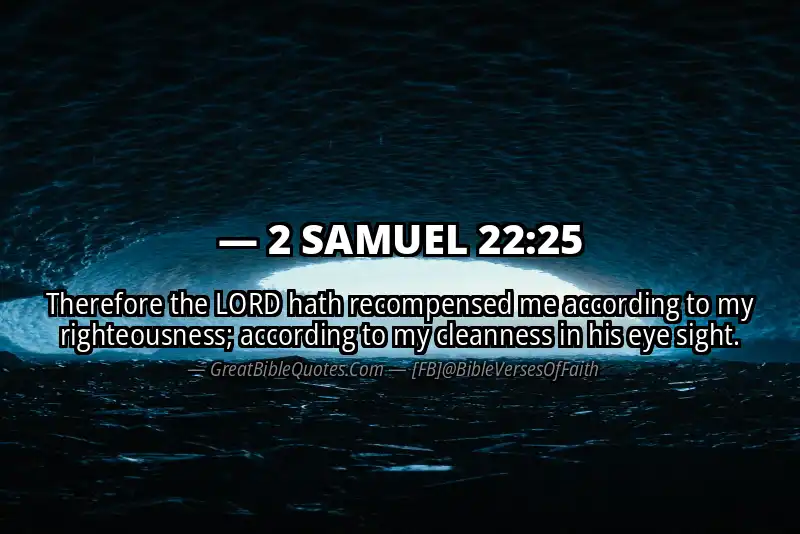 2 SAMUEL 22:25 Verse