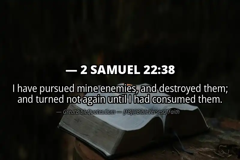 2 SAMUEL 22:38 Verse