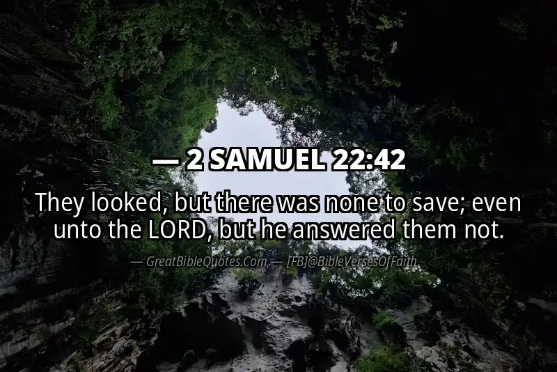 2 SAMUEL 22:42 Verse Image