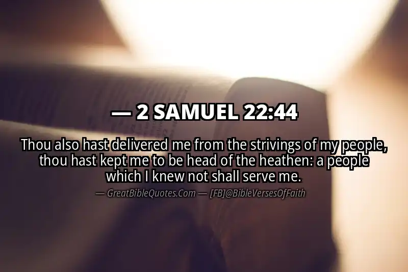 2 SAMUEL 22:44 Verse