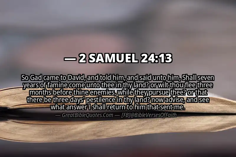 2 SAMUEL 24:13 Verse