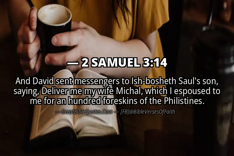 2 SAMUEL 3:14 Verse