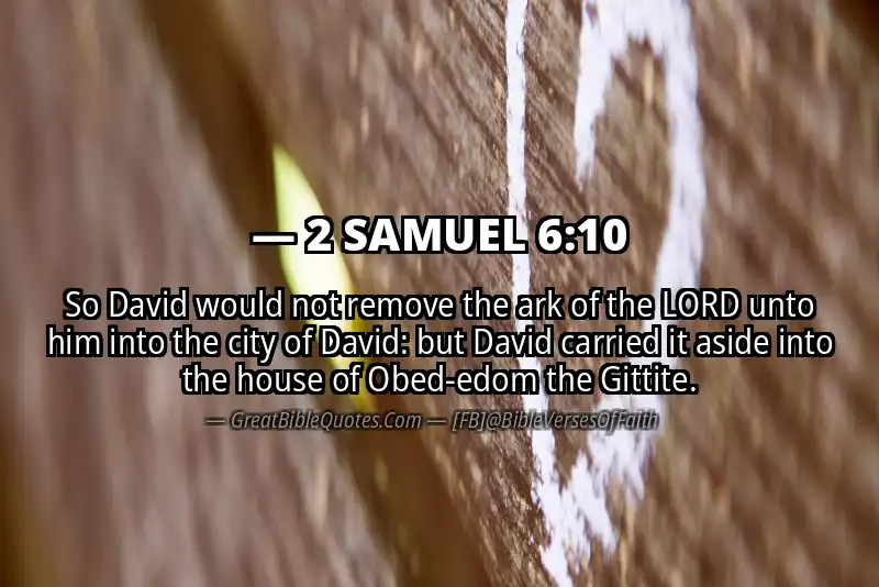 2 SAMUEL 6:10 Verse