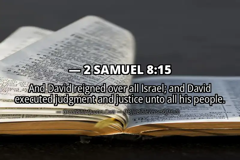 2 SAMUEL 8:15 Verse