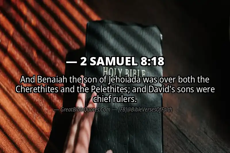 2 SAMUEL 8:18 Verse