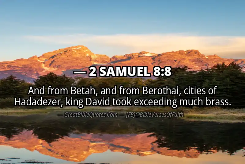 2 SAMUEL 8:8 Verse