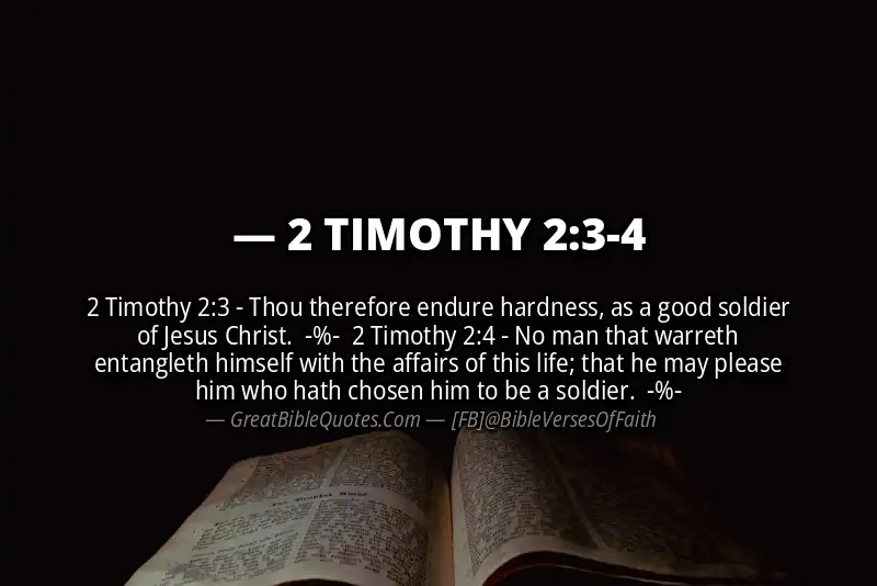Image for 2 TIMOTHY 2:3-4 Bible verse