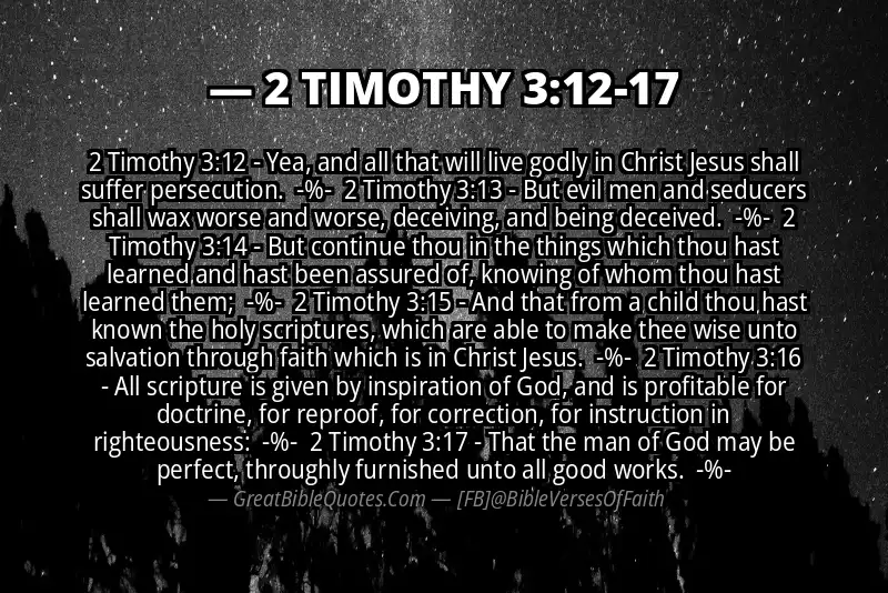Image for 2 TIMOTHY 3:12-17 Bible verse