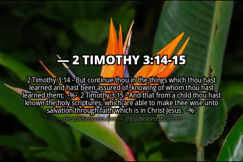 Image for 2 TIMOTHY 3:14-15 Bible verse